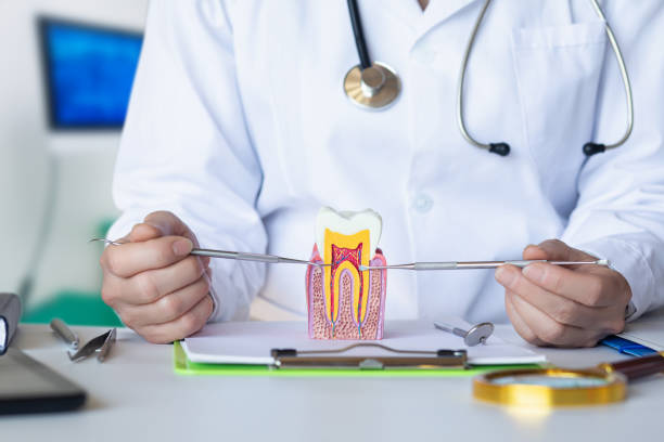 Best Emergency Dental Extractions in Lamesa, TX
